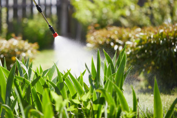 24/7 Emergency Mosquito Control experts in Arnold, CA