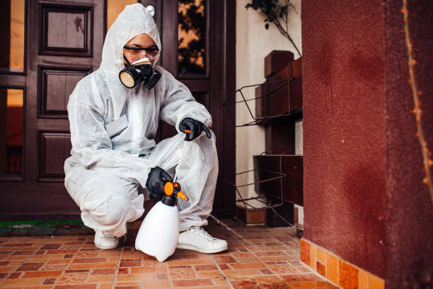 Reliable Mosquito Control contractor in Arnold, CA by Show Me Pest Control